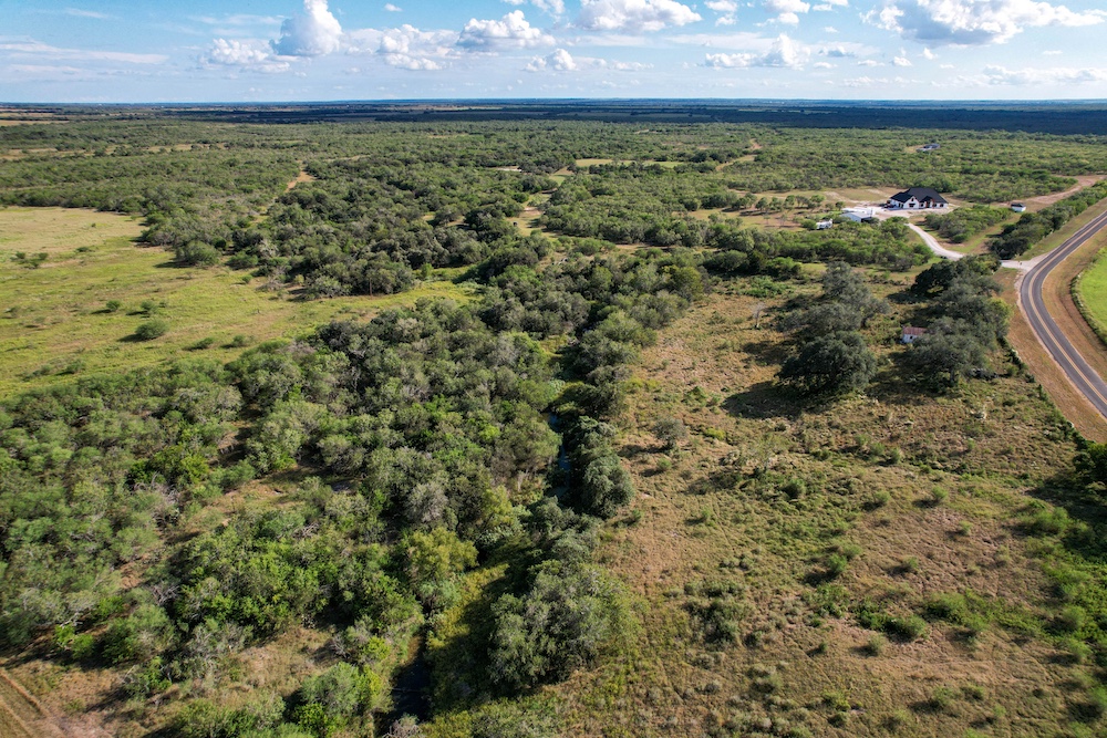 Land for Sale TBD FM 885, Runge, TX 78151 43.02 acres