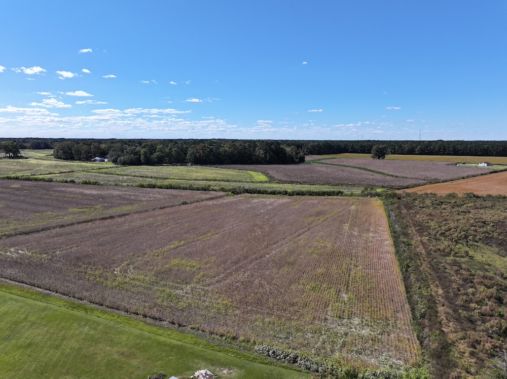 Land for Sale Off Southwood rd LotWP001, Kinston, NC 28501 5.29 acres