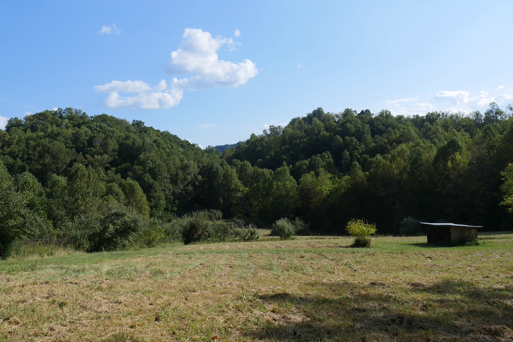 Land for Sale TBD Shoals Lane LotWP002, Hiltons, VA 24258 50 acres