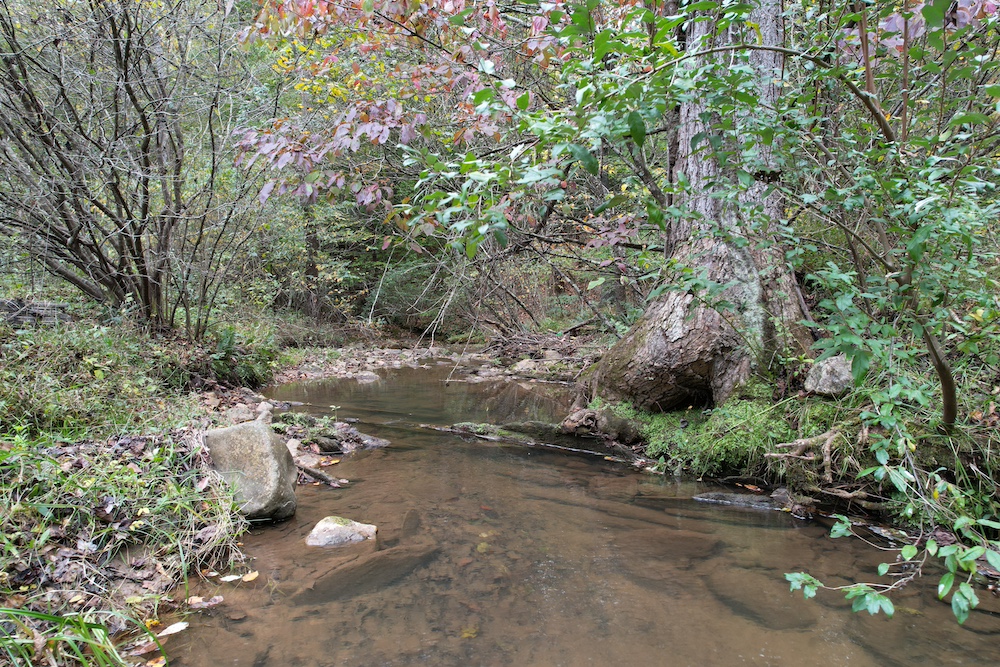 Land for Sale 6 Mile Post Road, LotWP001, Callaway, VA 24067 20 acres