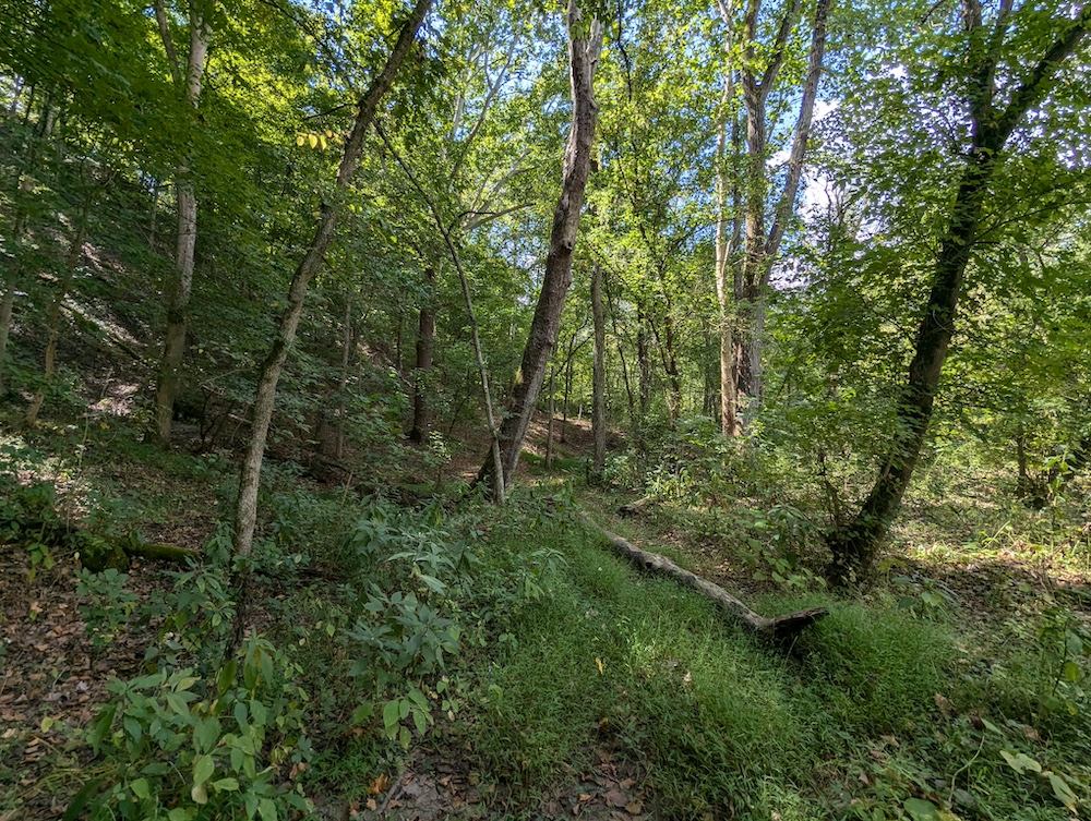 Land for Sale 5307 County Road 1, Rayland, OH 43943 24.41 acres