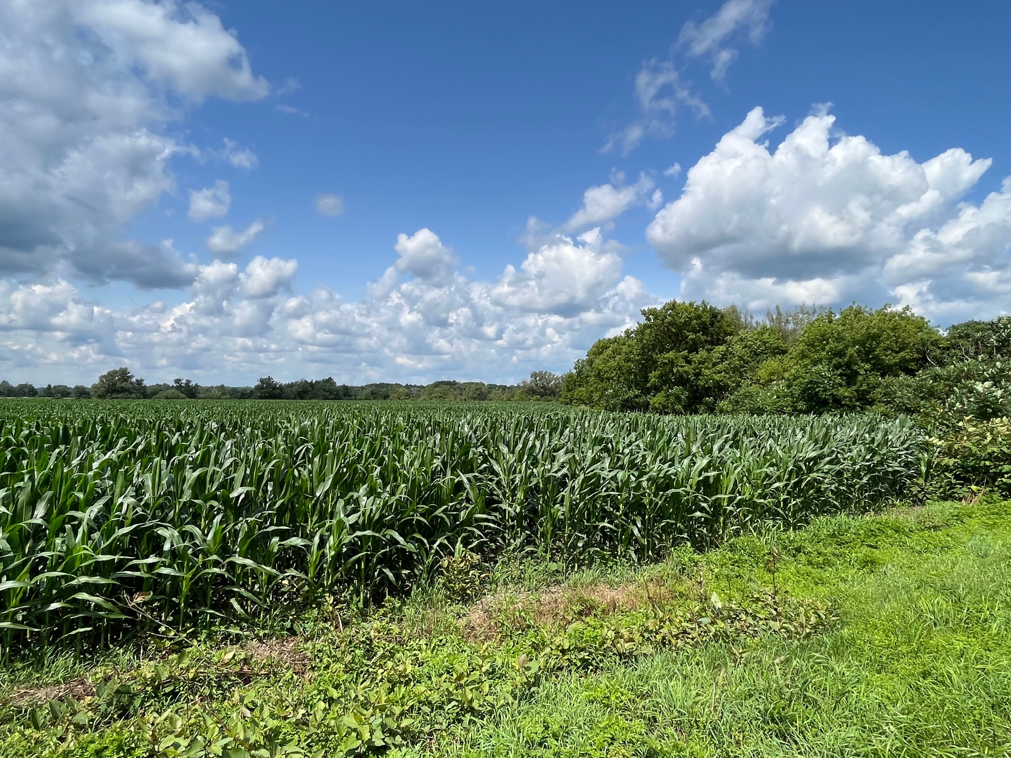 Land for Sale VL East Cowens Corners Road, LotWP002, Conewango