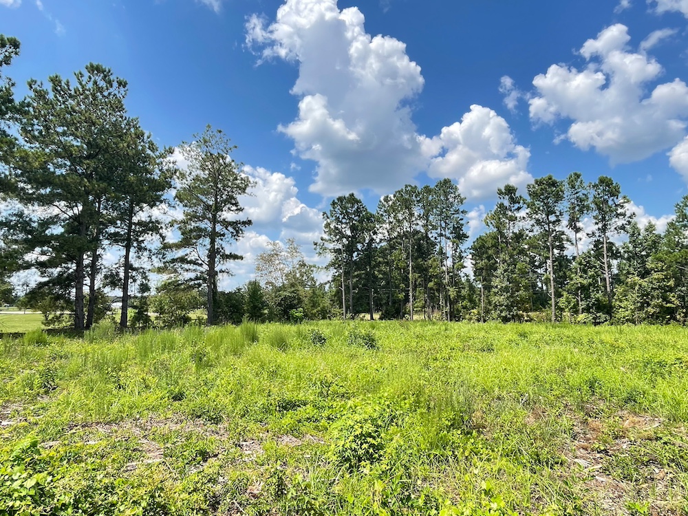 Land for Sale TBD Barfield Rd, LotWP003, Nichols, SC 29581 0.51 acres