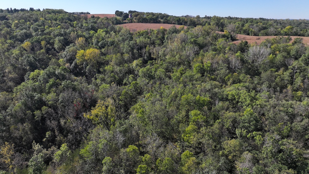 Land for Sale 26850 Mount Hill Road, LotWP001, Welch, MN 55089 56.