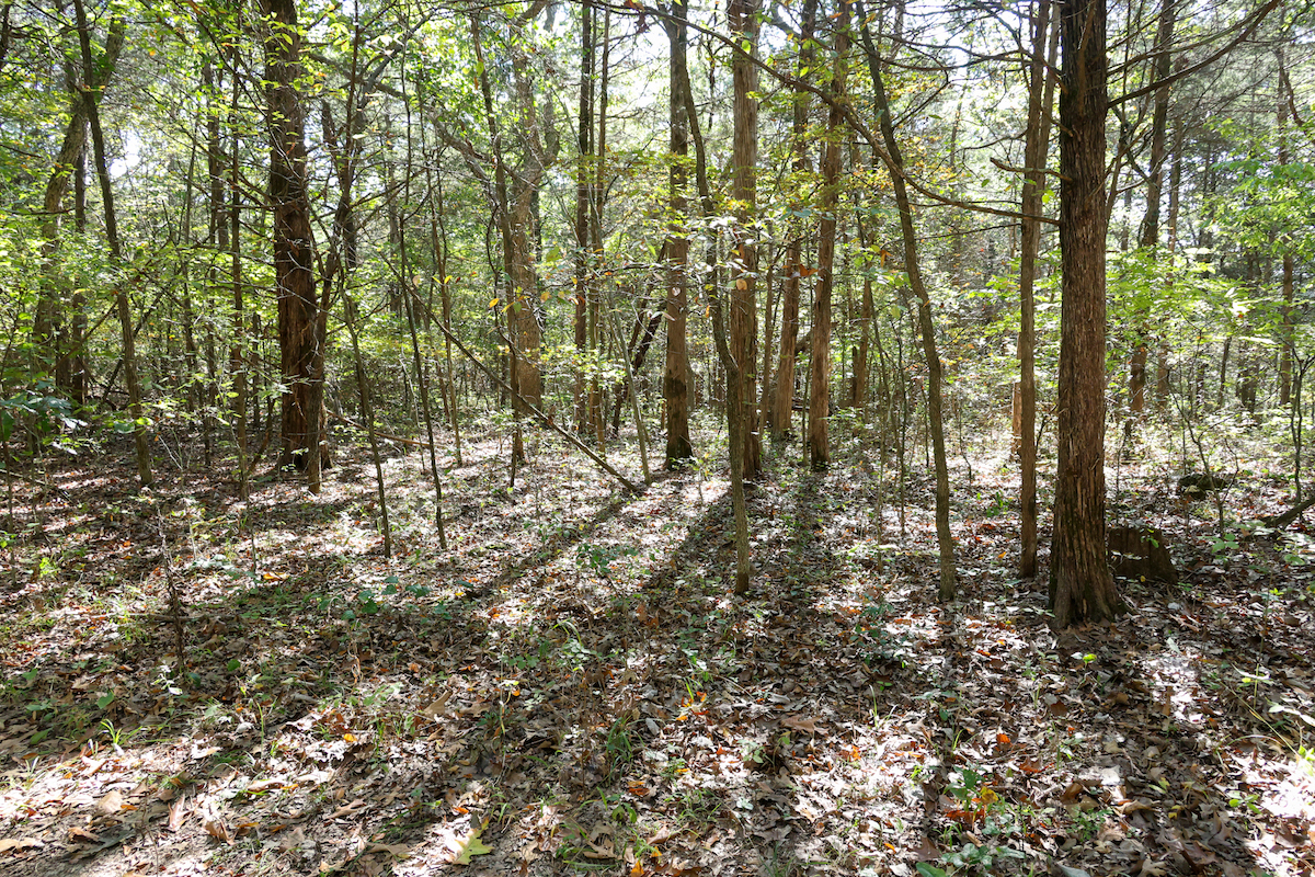 Land for Sale Off State Route WW, Lot WP005, Sainte Genevieve, MO 63670 16 acres