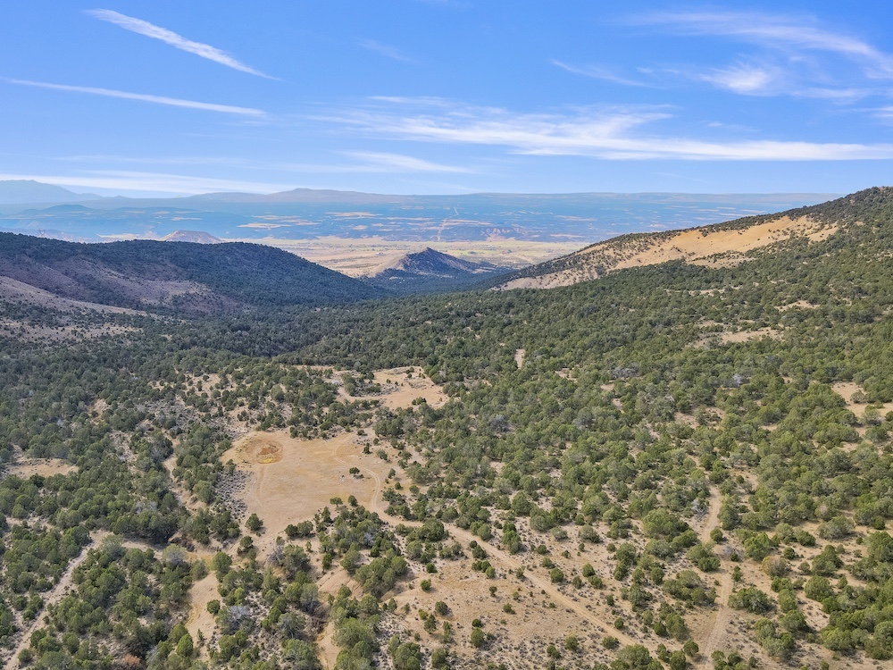 Land for Sale TBD, Montrose, CO 81401 429.85 acres