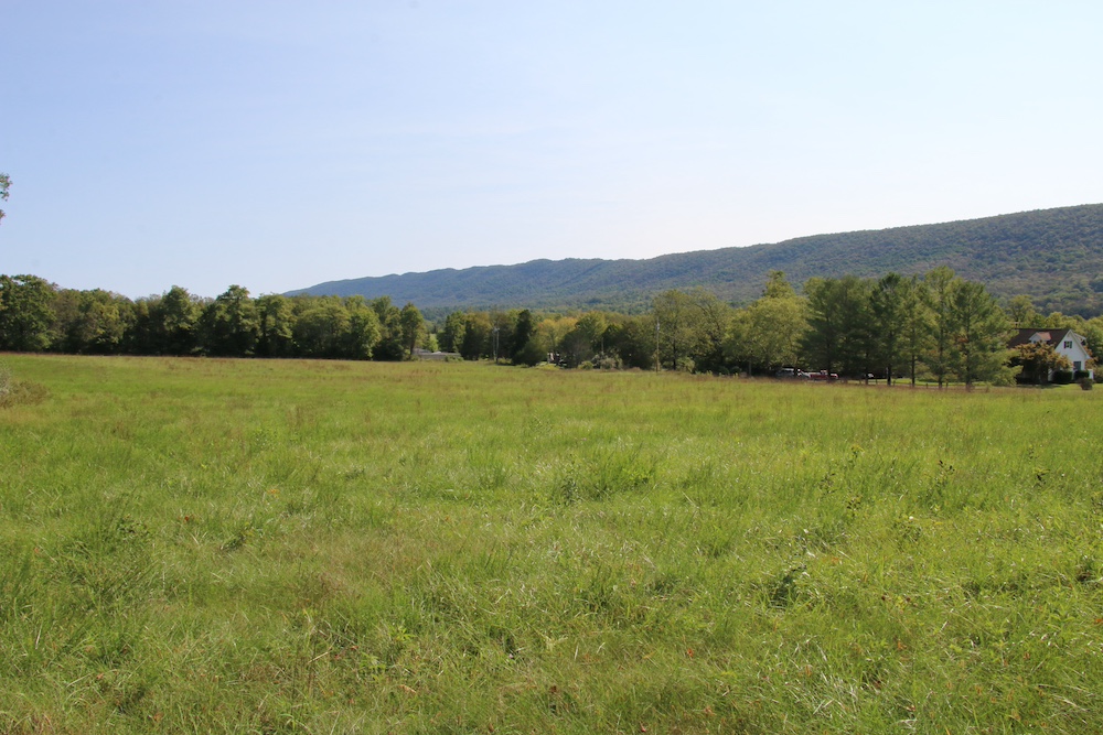 Land for Sale Zepp Road, LotWP001, Maurertown, VA 22644 6.03 acres