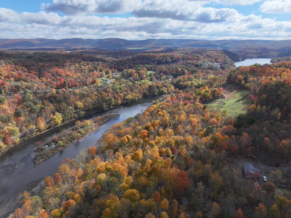 Land for Sale 0 Bortz Mine Rd, LotWP001, Lake Lynn, PA 15451 63.93