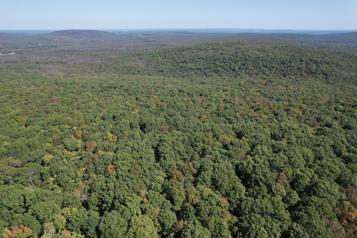 Land for Sale Off King School Rd, Ironton, MO 63650 93 acres