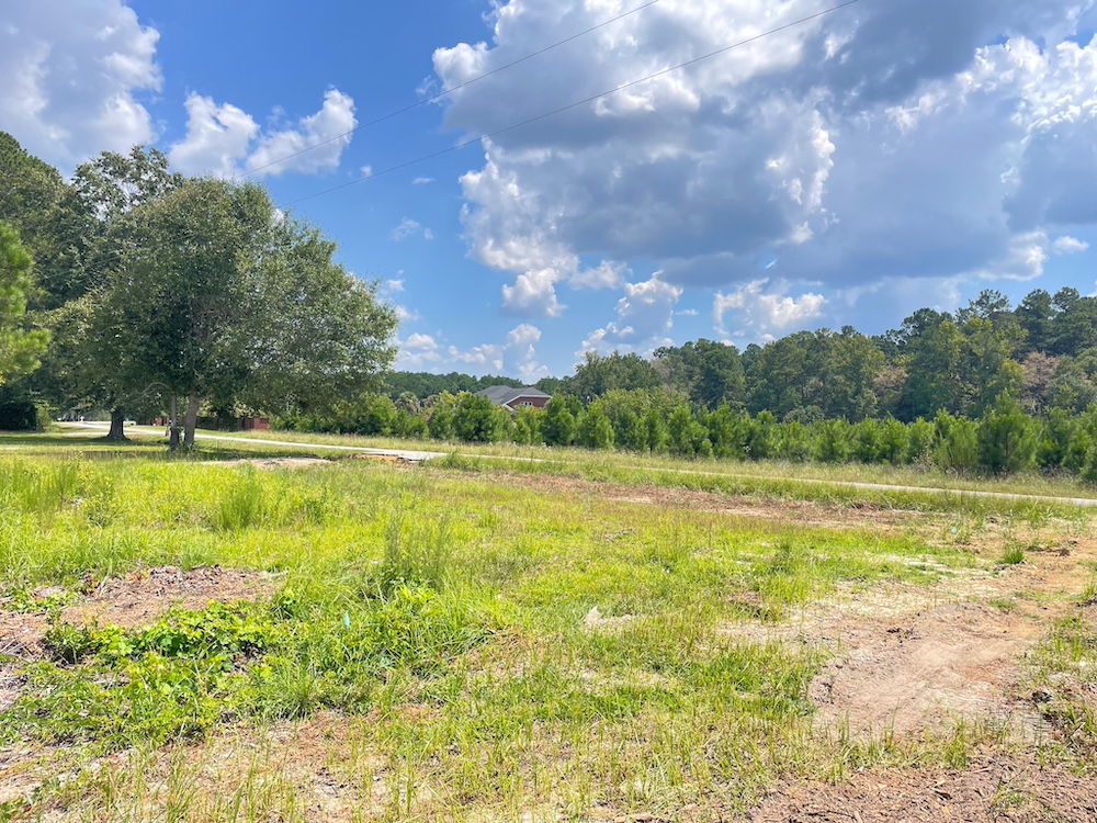 Land for Sale TBD Barfield Rd, LotWP006, Nichols, SC 29581 0.76 acres