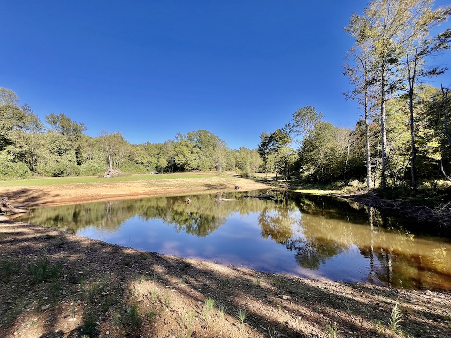 Land for Sale Dr. Jenkins Lane, LotWP001, Altoona, AL 35952 61 acres