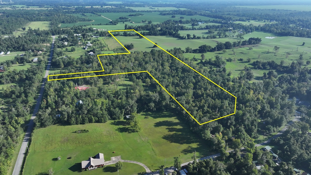 Land for Sale Blue Springs Rd., LotWP001, Marianna, FL 32446 5 acres