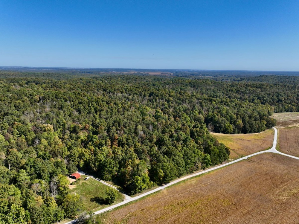 Land for Sale 427 Caney Fork Road, Marion, KY 42064 37.19 acres