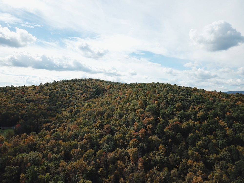 Land for Sale 0 Schencks Grove Road, Howard, PA 16841 82 acres