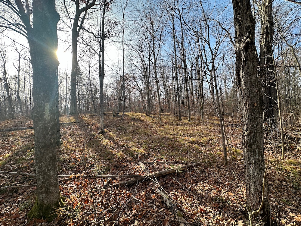 Land for Sale TBD State Highway 18, LotWP001, Finlayson, MN 55735