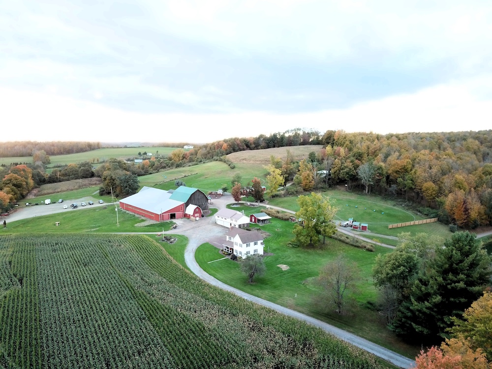 Land for Sale 619 Leon Brown Road, Middlebury Center, PA 16935 235