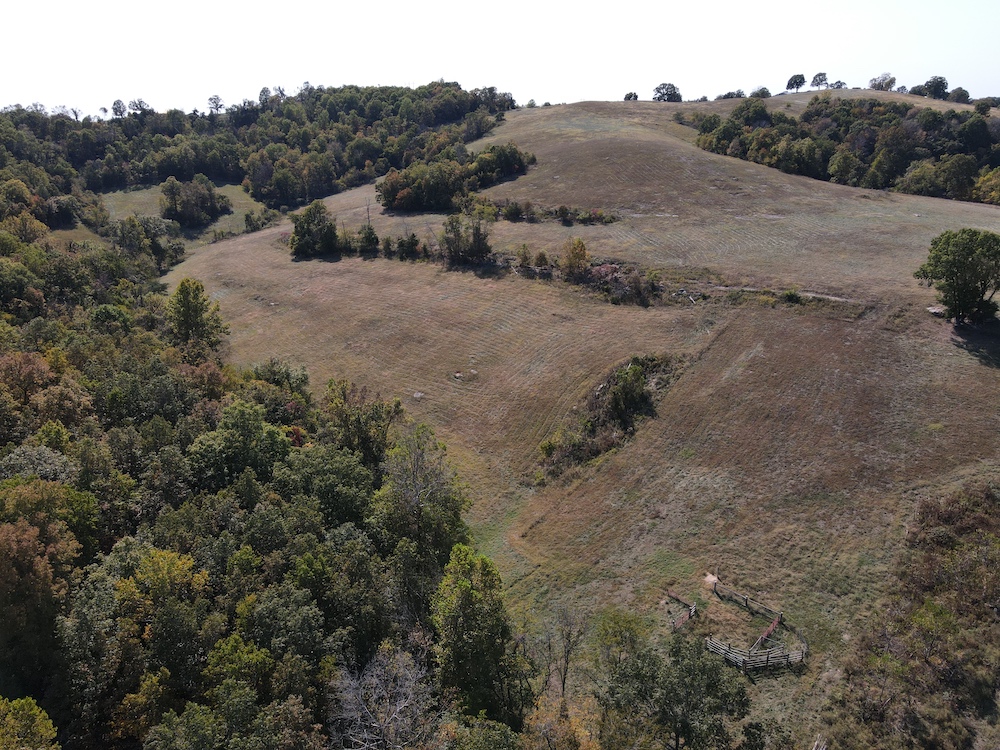 Land for Sale Highway 125 S, Harrison, AR 72601 42 acres