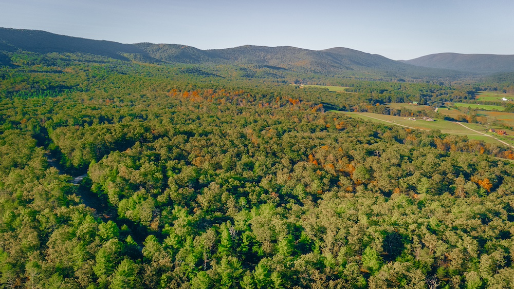 Land for Sale 0 Royal Coachman Dr LotWP001, New Castle, VA 24127