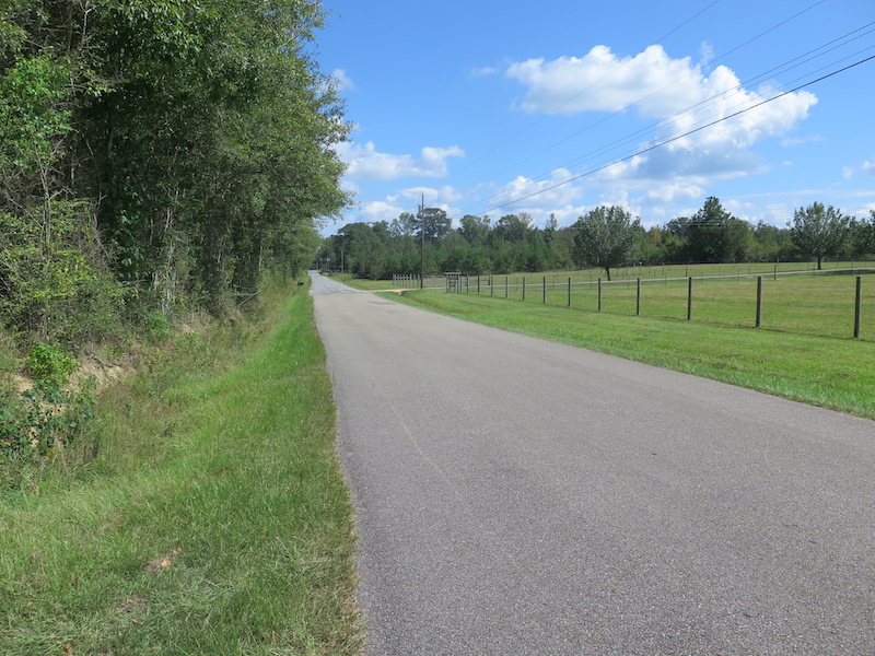 Land for Sale off County Home Road, LotWP001, Ellisville, MS 39437