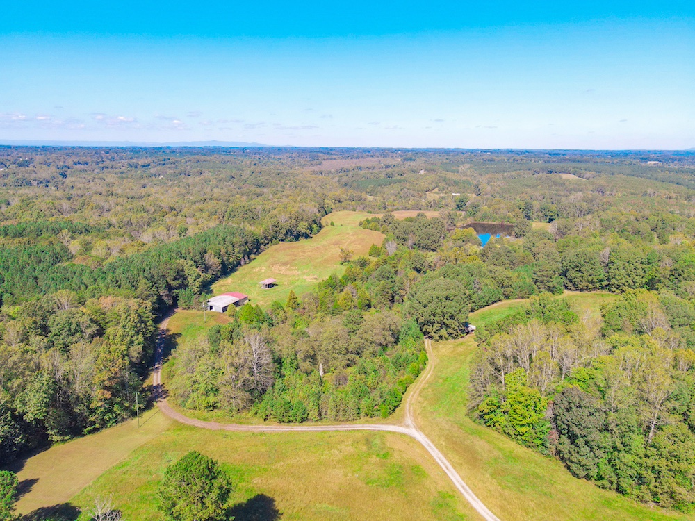 Land for Sale 00 Madison Road, Madison, NC 27025 45.48 acres