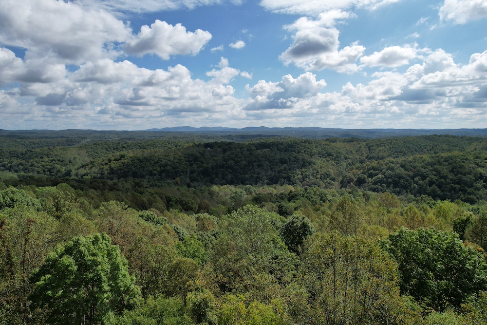 Land for Sale Brown Hill Rd, LotWP001, Ferrum, VA 24088 5.3 acres