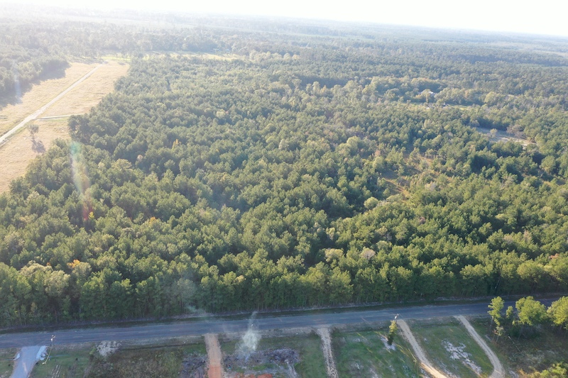 Land for Sale Hwy 1063, LotWP001, Independence, LA 70443 20 acres