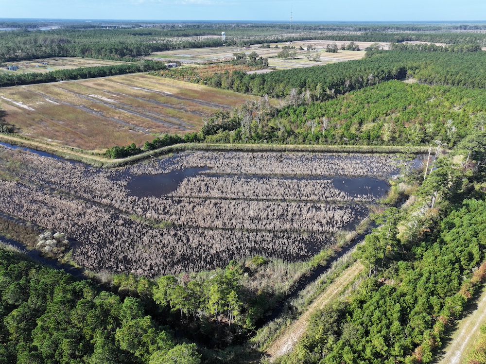 Land for Sale Off Hobucken School Rd, LotWP001, Hobucken, NC 28537