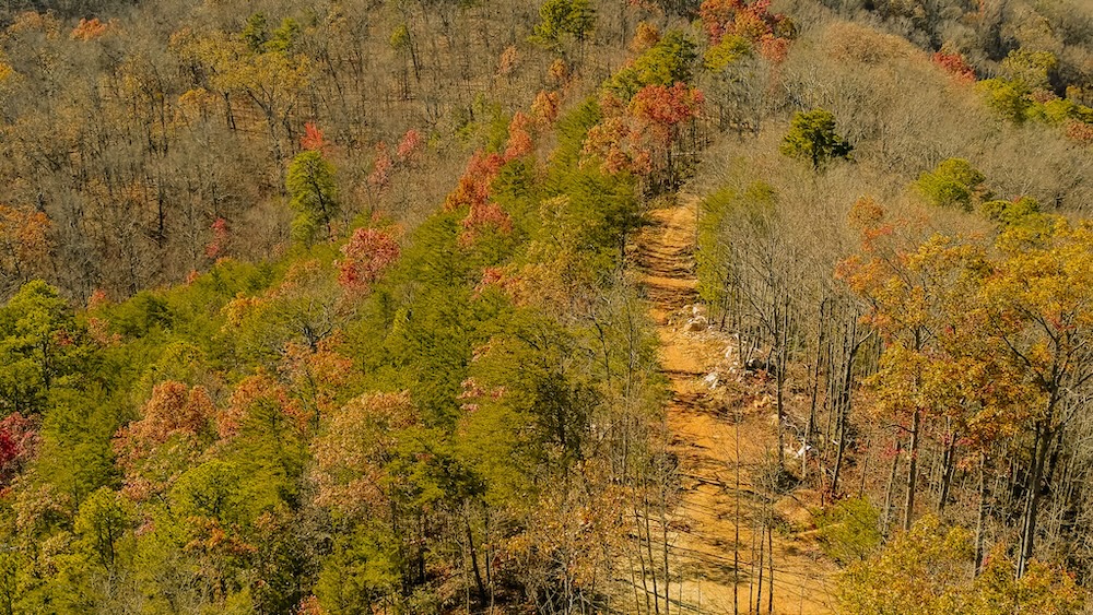 Land for Sale 4903 Long Rifle Road, Walland, TN 37886 342.24 acres