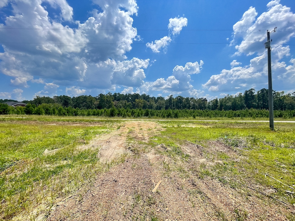 Land for Sale TBD Barfield Rd, LotWP001, Nichols, SC 29581 0.75 acres