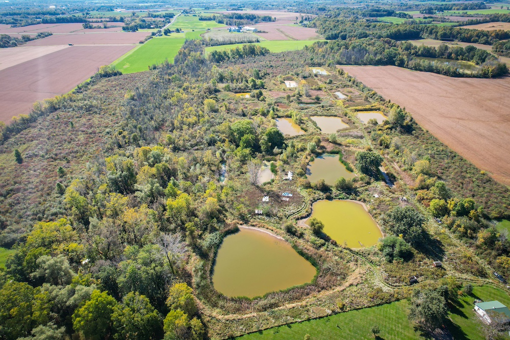 Land for Sale Latting Road, LotWP001, Canandaigua, NY 14424 48.17