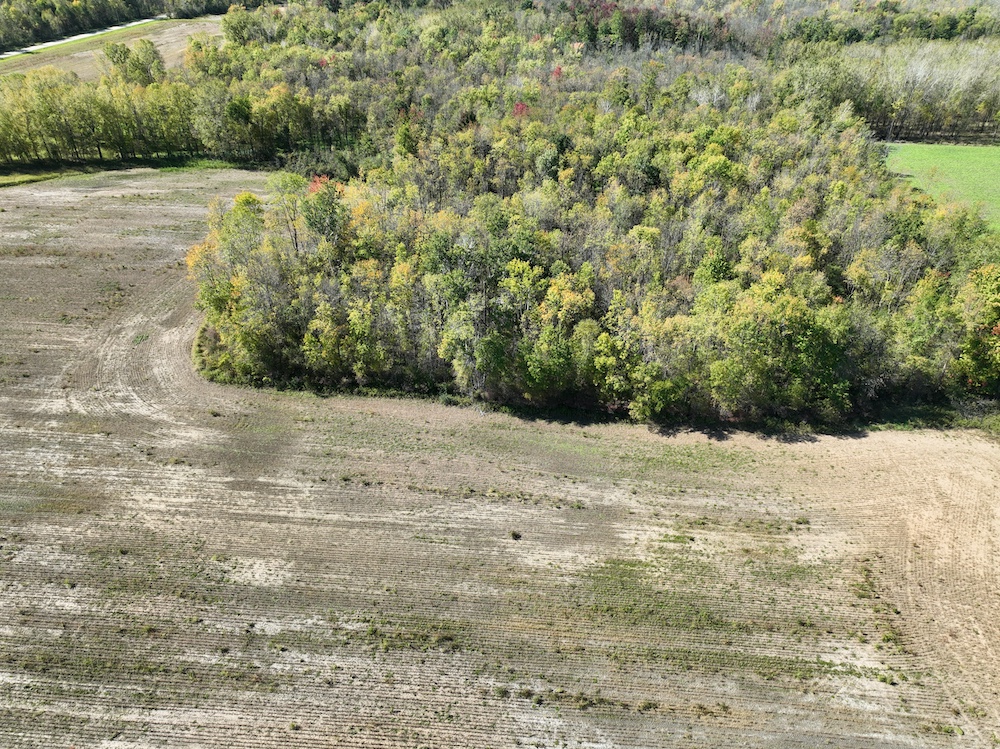 Land for Sale Dumke Ln, Abrams, WI 54171 10 acres