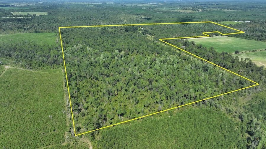 Land for Sale 26767 NE Eads Rd., LotWP001, Grand Ridge, FL 32442