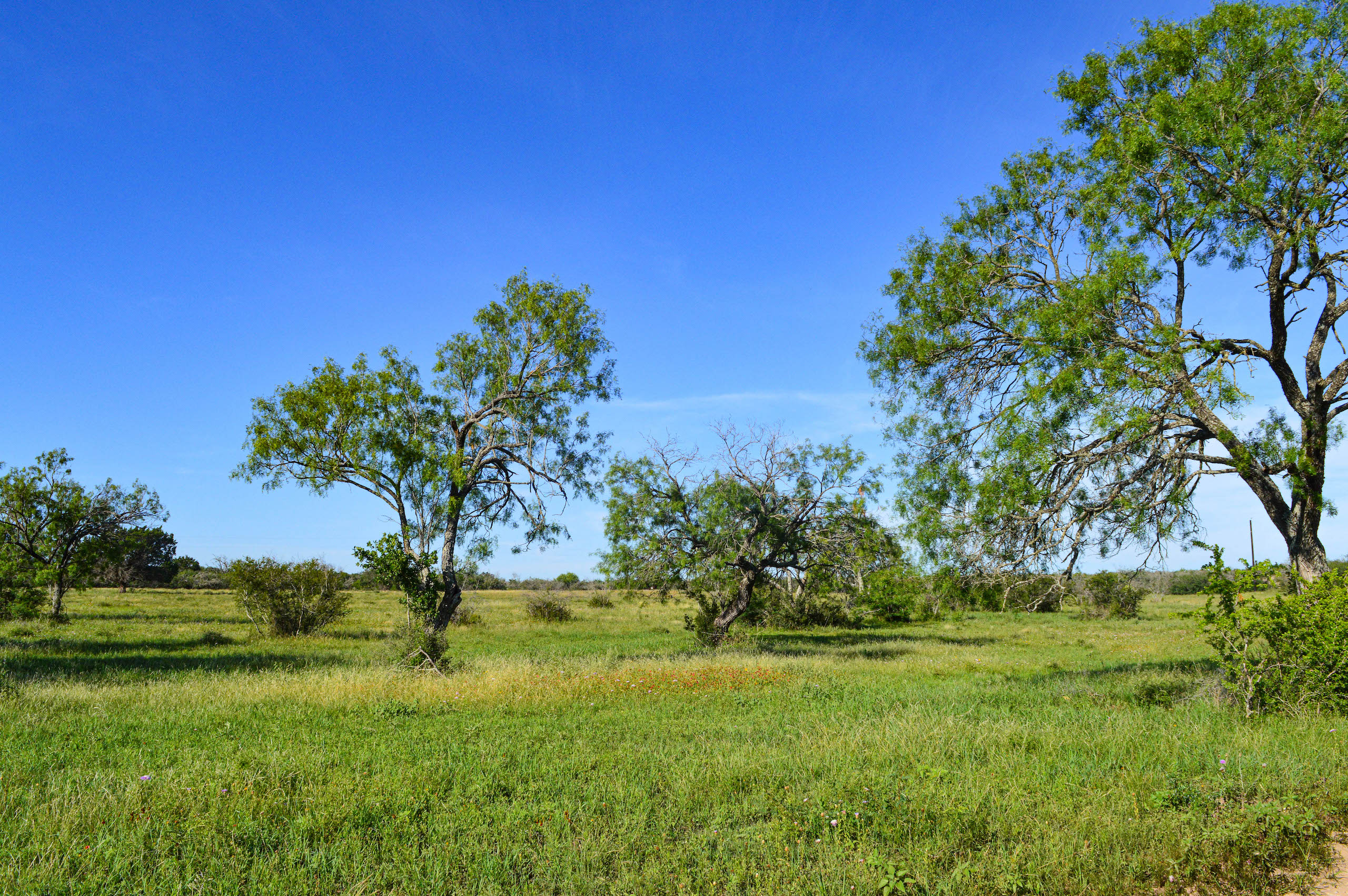 Frio County, TX Land for Sale AcreValue