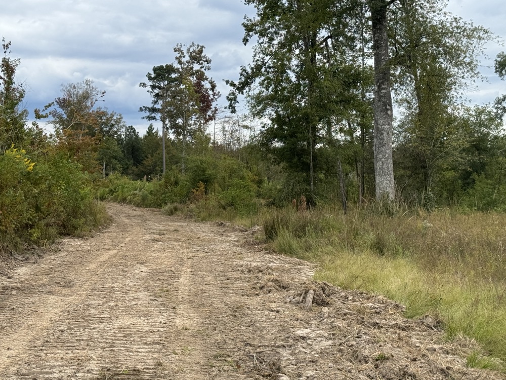 Land for Sale Highway 4 Lot Wp003, Grayson, LA 71435 220 acres