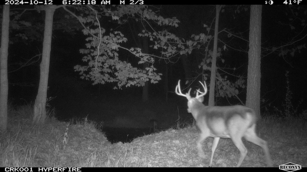 Land for Sale 4044 S Castor Road, Breckenridge, MI 48615 80 acres