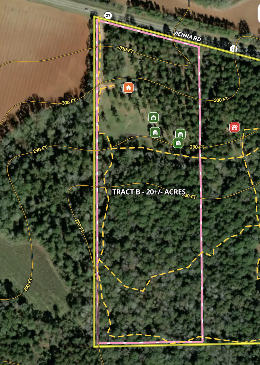 Land for Sale 2606 GA Hwy 27 E, LotWP001, Leslie, GA 31764 20 acres