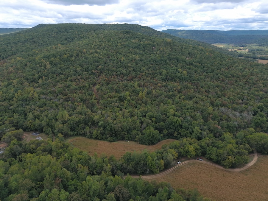 Land for Sale County Road 104, LotWP001, Stevenson, AL 35772 175 acres