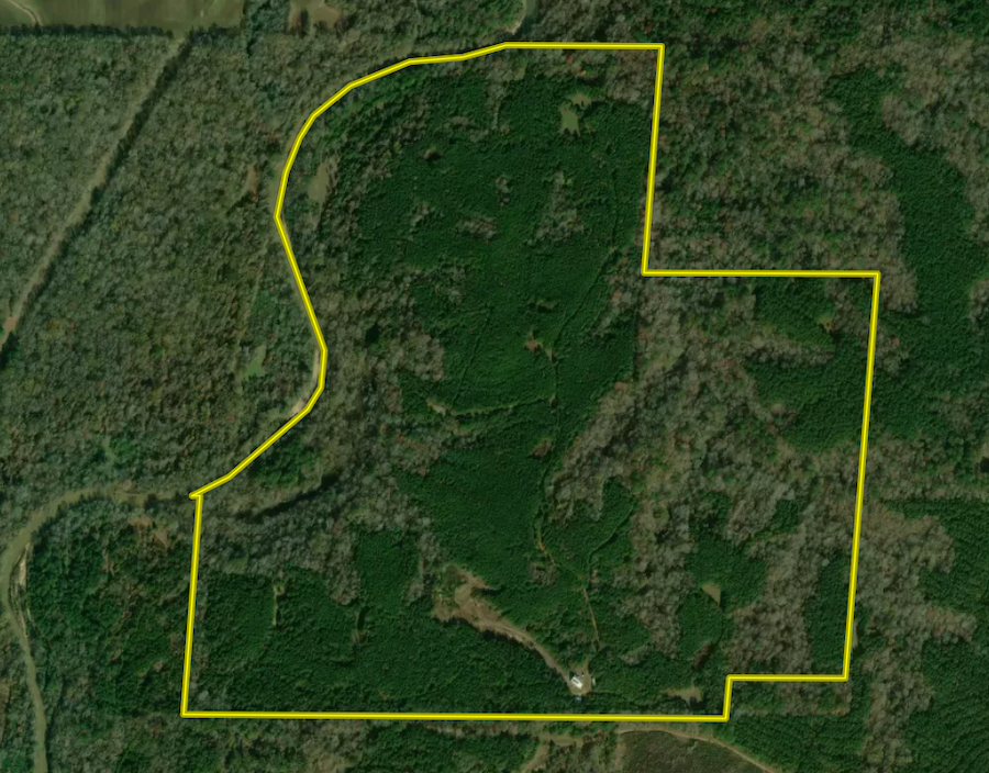 Land for Sale 3715 Coleman Ln NW, LotWP001, Union Church, MS 39668 250 acres