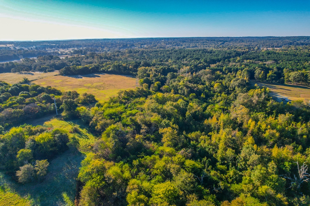 Land for Sale E/S CR 4460, Winnsboro, TX 75494 59.69 acres