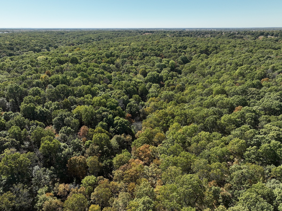 Land for Sale TBD E Harrison Street, Lot WP001, Ash Grove, MO 65604