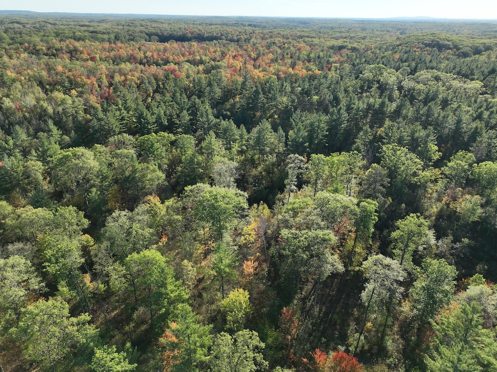 Land for Sale Right of Way Road, Wausaukee, WI 54177 42.79 acres