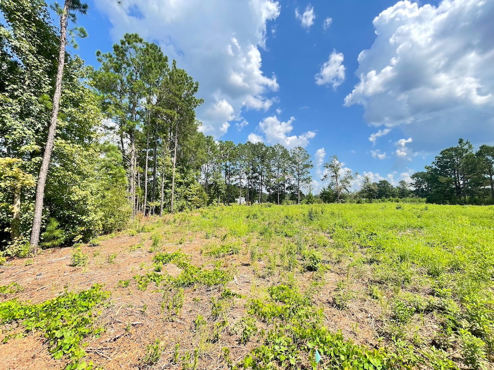 Land for Sale TBD Barfield Rd, LotWP004, Nichols, SC 29581 0.6 acres