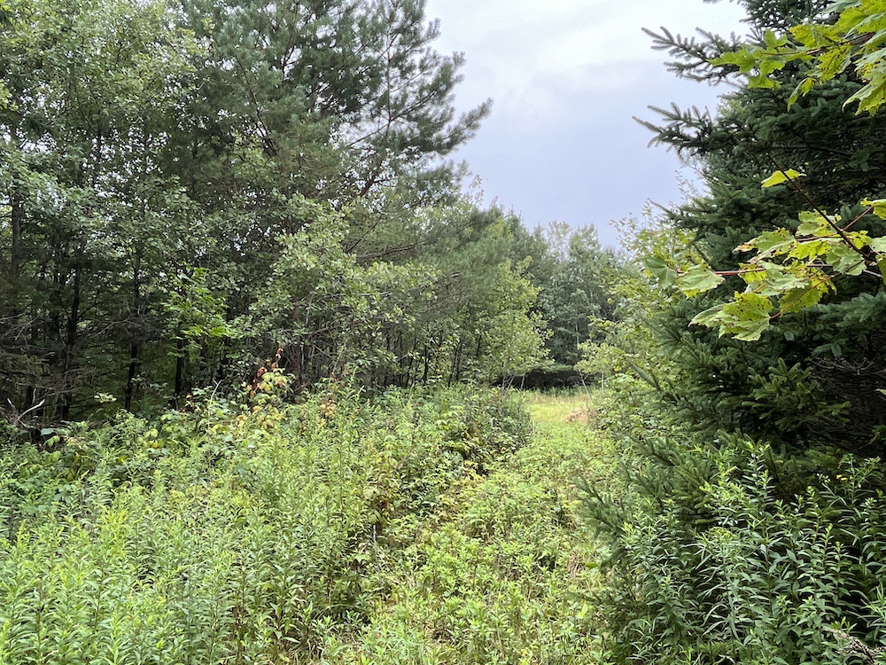 Land for Sale Level Green Road, LotWP001, Caroline, NY 13736 5.12