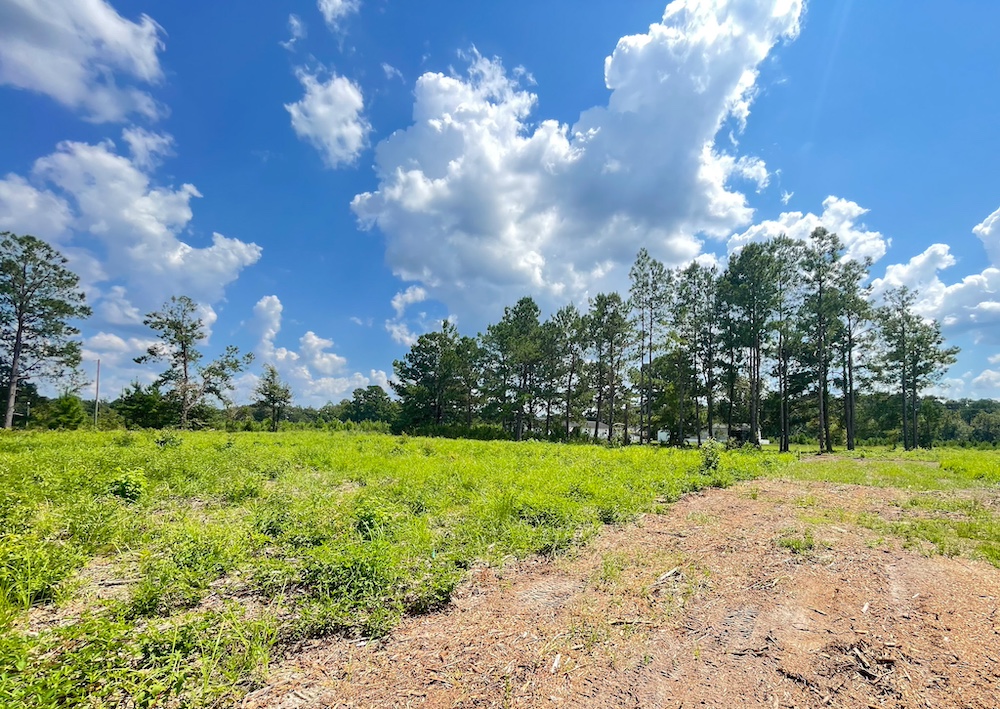 Land for Sale TBD Barfield Rd, LotWP005, Nichols, SC 29581 0.68 acres