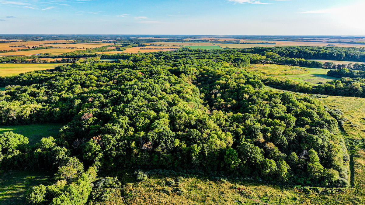 Land for Sale County Rd 1000 E, Lot WP001, Tower Hill, IL 62571 20