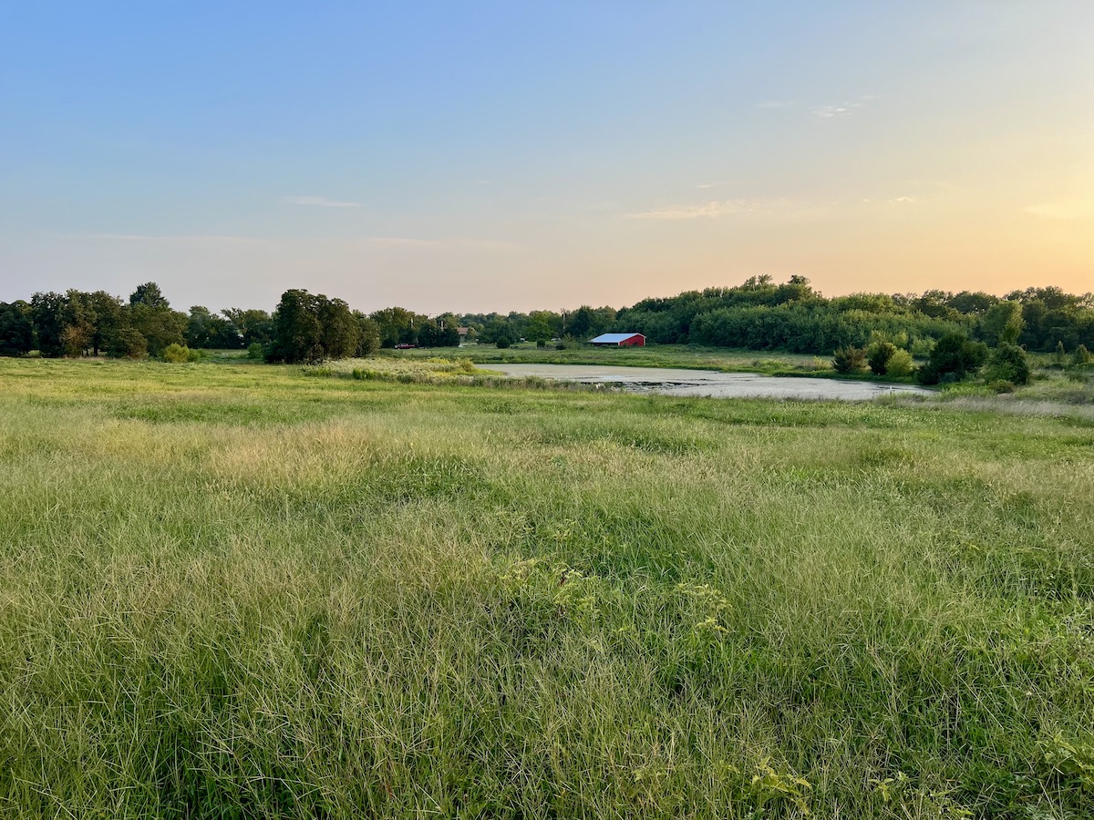 Land for Sale Hwy 96, Carl Junction, MO 64834 56.21 acres