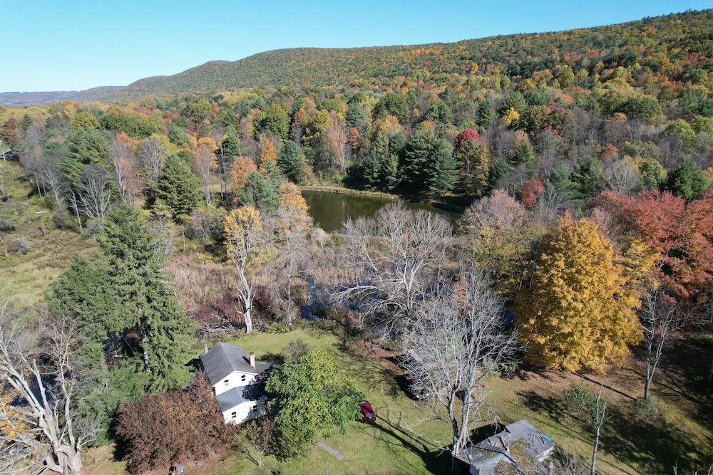 Land for Sale 195 Hillview Road, Spencer, NY 14883 57.7 acres