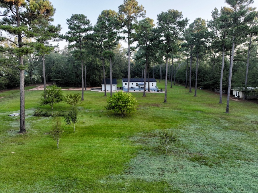 Land for Sale 2648 GA Hwy 27E, LotWP001, Leslie, GA 31764 81.09 acres