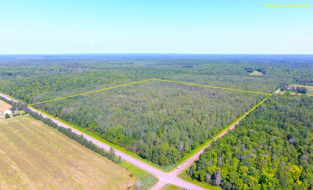 Land for Sale Wisconsin AcreValue