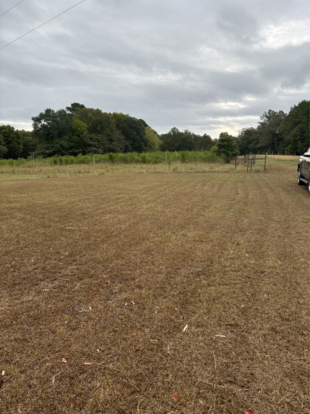 Land for Sale 662 Thornton Road, Morris, GA 39867 35.21 acres